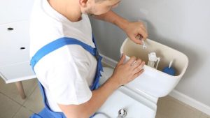 blog-common-causes-of-clogged-toilets
