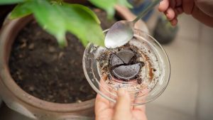 coffee-grounds-down-the-drain-540x304