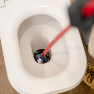 blocked-toilet-310x310-310x310